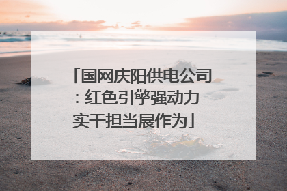 国网庆阳供电公司：红色引擎强动力 实干担当展作为
