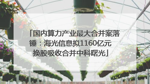 国内算力产业最大合并案落锤：海光信息拟1160亿元换股吸收合并中科曙光