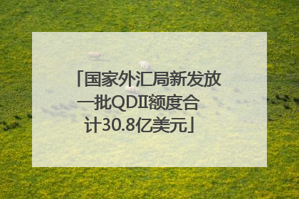 国家外汇局新发放一批QDII额度合计30.8亿美元