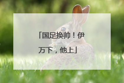 国足换帅！伊万下，他上