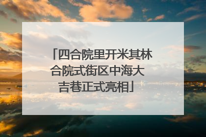 四合院里开米其林 合院式街区中海大吉巷正式亮相