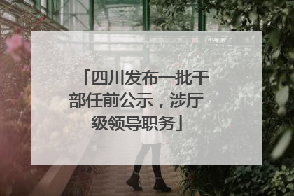 四川发布一批干部任前公示，涉厅级领导职务