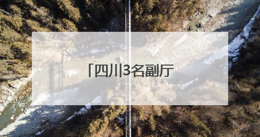 四川3名副厅级干部任新职