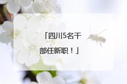 四川5名干部任新职！