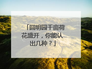 圆明园千亩荷花盛开，你能认出几种？