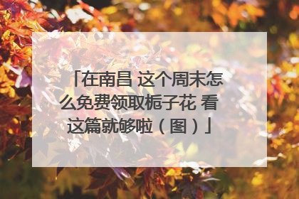 在南昌 这个周末怎么免费领取栀子花 看这篇就够啦（图）