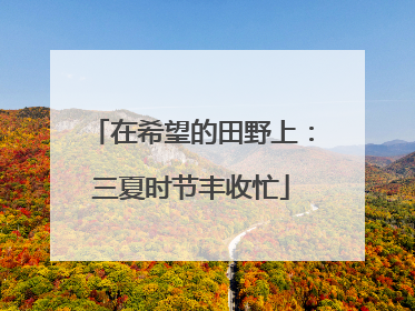 在希望的田野上：三夏时节丰收忙