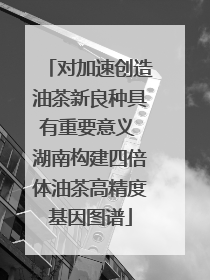 对加速创造油茶新良种具有重要意义 湖南构建四倍体油茶高精度基因图谱