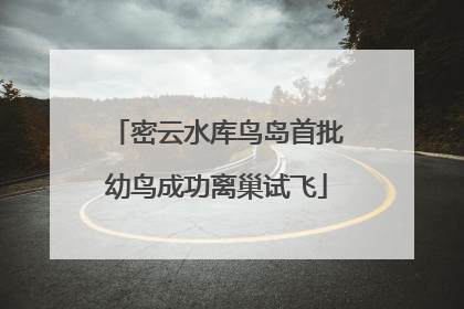 密云水库鸟岛首批幼鸟成功离巢试飞