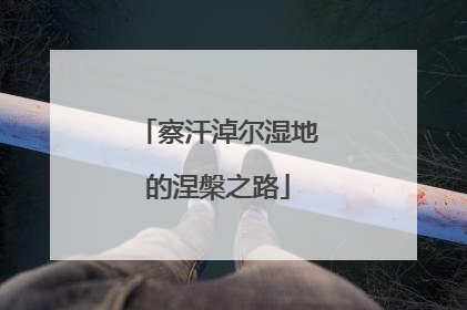 察汗淖尔湿地的涅槃之路