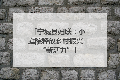 宁城县妇联：小庭院释放乡村振兴“新活力”
