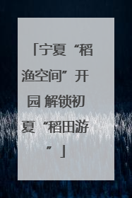 宁夏“稻渔空间”开园 解锁初夏“稻田游”