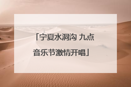 宁夏水洞沟 九点音乐节激情开唱