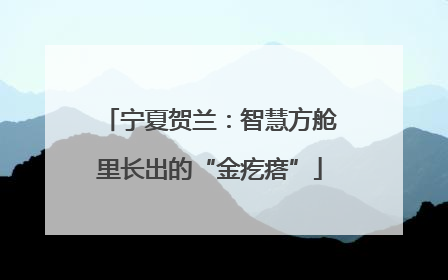 宁夏贺兰：智慧方舱里长出的“金疙瘩”