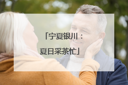 宁夏银川：夏日采茶忙