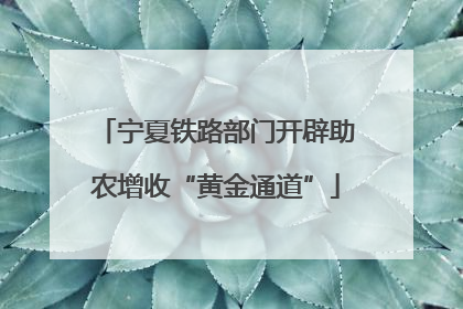宁夏铁路部门开辟助农增收“黄金通道”