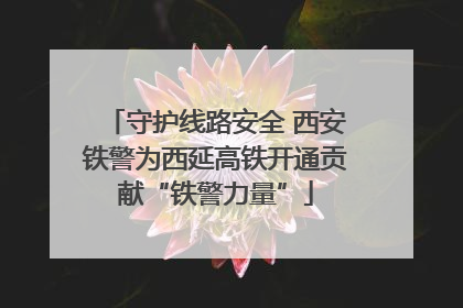 守护线路安全 西安铁警为西延高铁开通贡献“铁警力量”