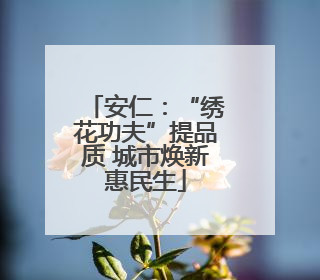 安仁：“绣花功夫”提品质 城市焕新惠民生