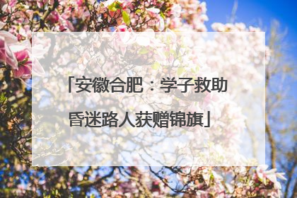 安徽合肥：学子救助昏迷路人获赠锦旗