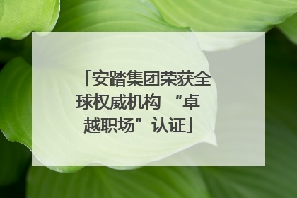 安踏集团荣获全球权威机构 “卓越职场”认证