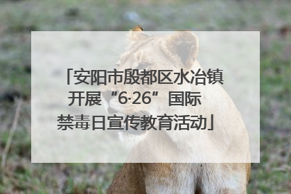 安阳市殷都区水冶镇开展“6·26”国际禁毒日宣传教育活动