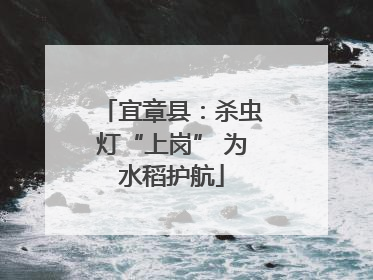 宜章县：杀虫灯“上岗” 为水稻护航