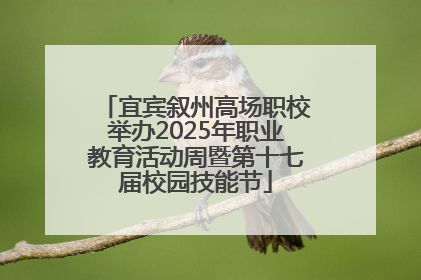 宜宾叙州高场职校举办2025年职业教育活动周暨第十七届校园技能节