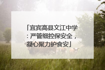 宜宾高县文江中学：严管细控保安全，凝心聚力护食安