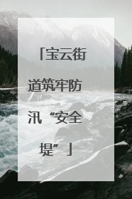 宝云街道筑牢防汛“安全堤”