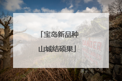宝岛新品种 山城结硕果