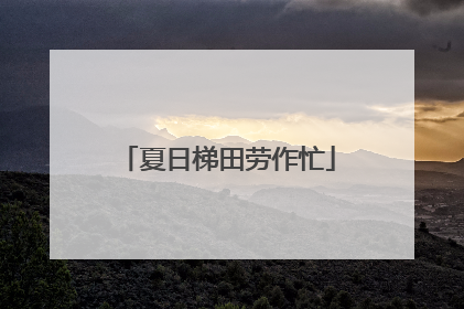 夏日梯田劳作忙