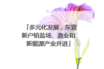多元化发展，东营新户镇盐场、渔业和新能源产业并进