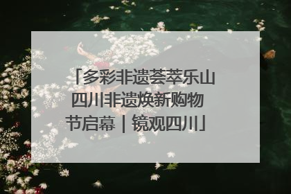 多彩非遗荟萃乐山 四川非遗焕新购物节启幕｜镜观四川