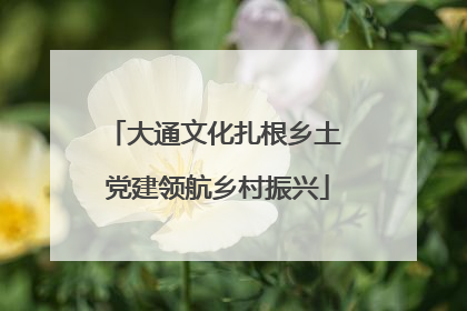 大通文化扎根乡土 党建领航乡村振兴