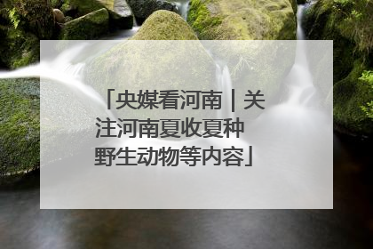 央媒看河南｜关注河南夏收夏种 野生动物等内容