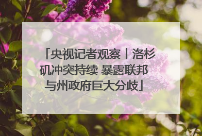 央视记者观察丨洛杉矶冲突持续 暴露联邦与州政府巨大分歧