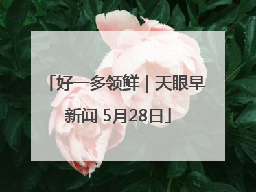 好一多领鲜｜天眼早新闻 5月28日