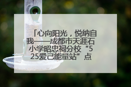 心向阳光，悦纳自我——成都市天涯石小学昭忠祠分校“525爱己能量站”点亮孩子心灵之旅