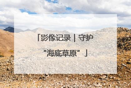 影像记录｜守护“海底草原”
