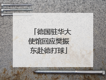 德国驻华大使馆回应樊振东赴德打球