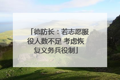 德防长：若志愿服役人数不足 考虑恢复义务兵役制