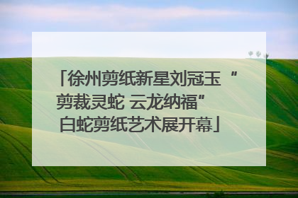 徐州剪纸新星刘冠玉“剪裁灵蛇 云龙纳福” 白蛇剪纸艺术展开幕