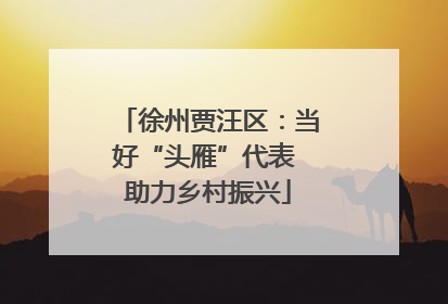 徐州贾汪区：当好“头雁”代表 助力乡村振兴