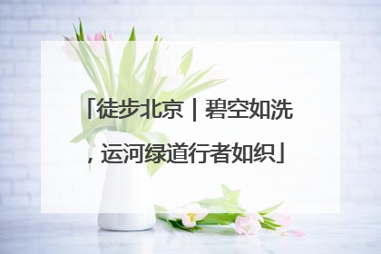 徒步北京｜碧空如洗，运河绿道行者如织