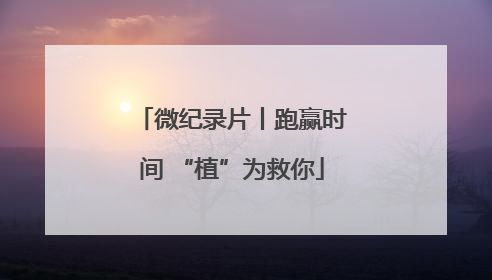 微纪录片丨跑赢时间 “植”为救你