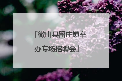 微山县留庄镇举办专场招聘会