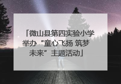 微山县第四实验小学举办“童心飞扬 筑梦未来”主题活动