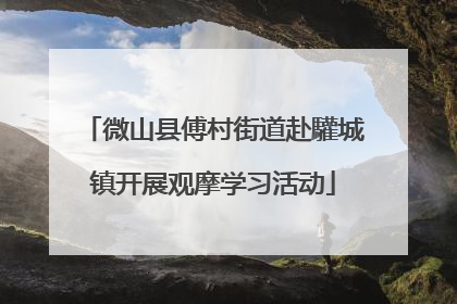 微山县傅村街道赴驩城镇开展观摩学习活动