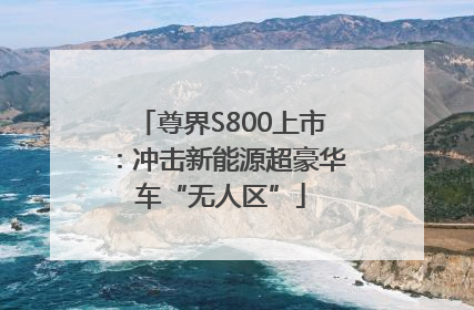 尊界S800上市：冲击新能源超豪华车“无人区”