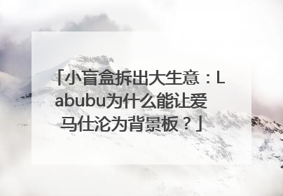 小盲盒拆出大生意：Labubu为什么能让爱马仕沦为背景板？